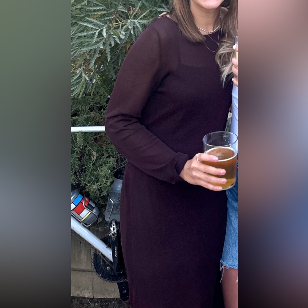 Zara Deep Brown Sleeveless Dress